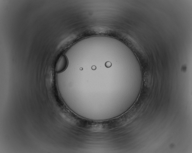 X0000101120740200807171959