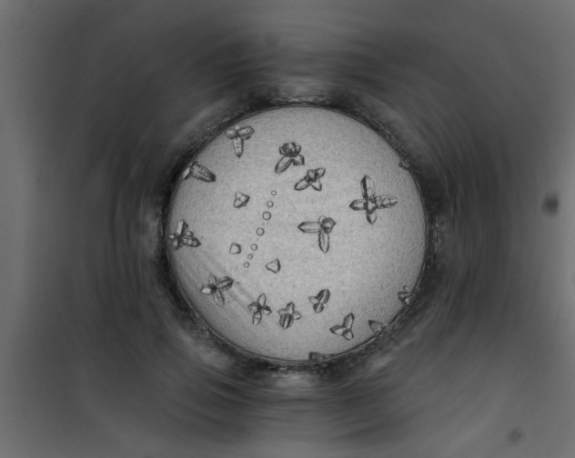 X0000101120741200807171959