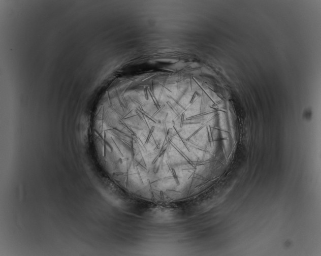 X0000101120742200807171959