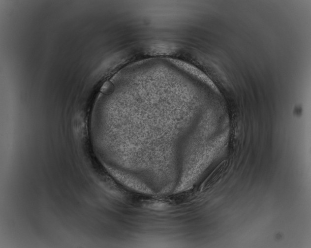 X0000101120743200807171959