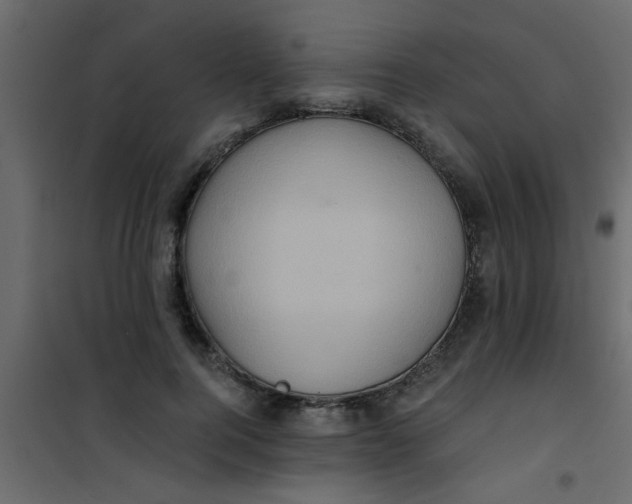 X0000101120744200807172000