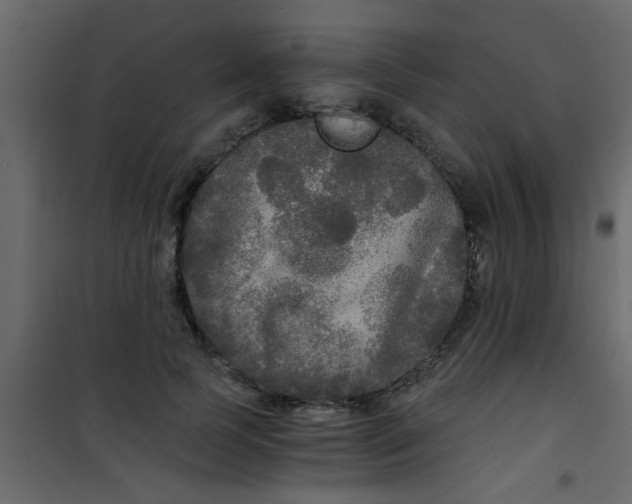 X0000101120745200807172000