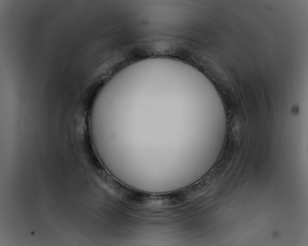 X0000101120746200807172000