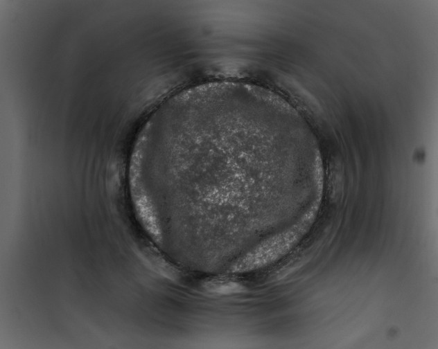 X0000101120747200807172000