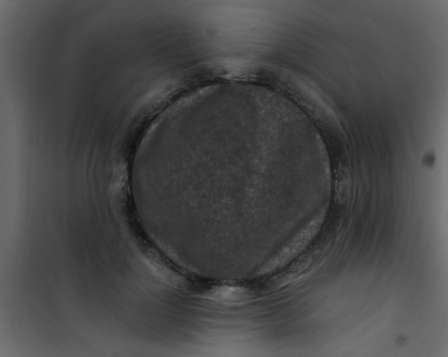 X0000101120748200807172000