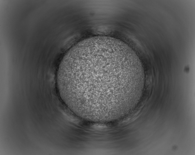 X0000101120749200807172000
