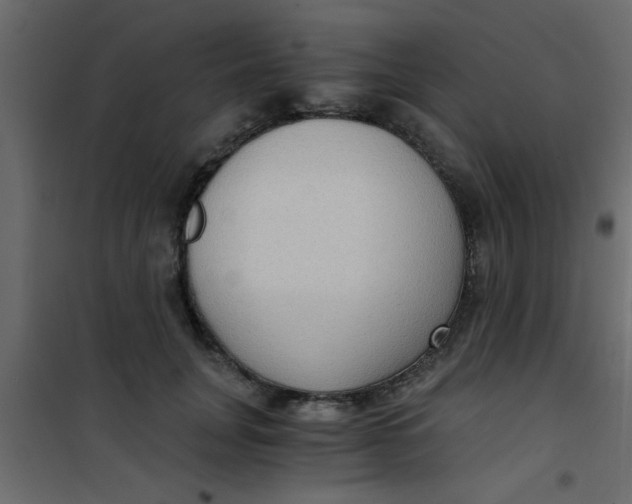 X0000101120751200807172000