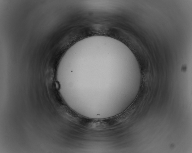 X0000101120752200807172000