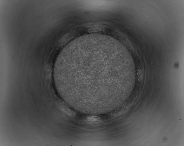 X0000101120753200807172000