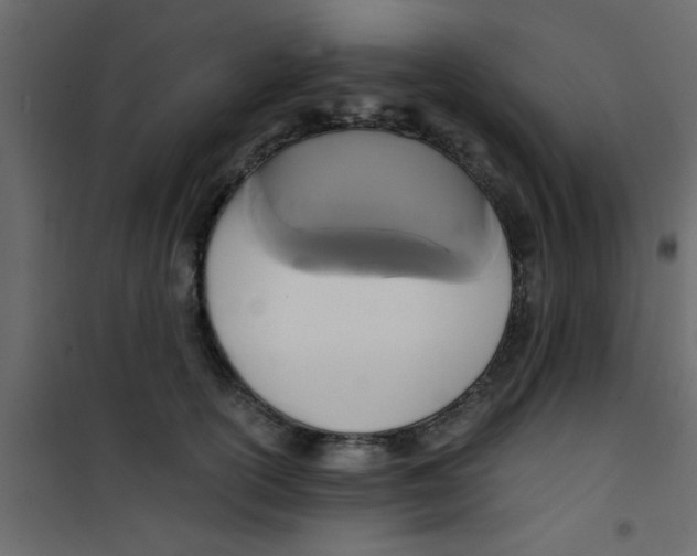 X0000101120754200807172000