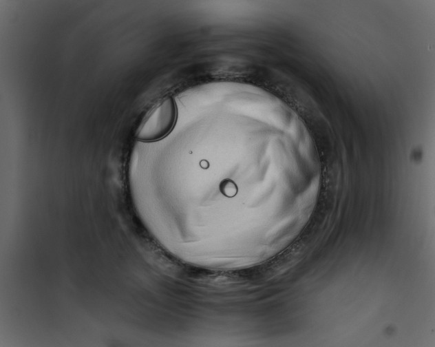 X0000101120755200807172000