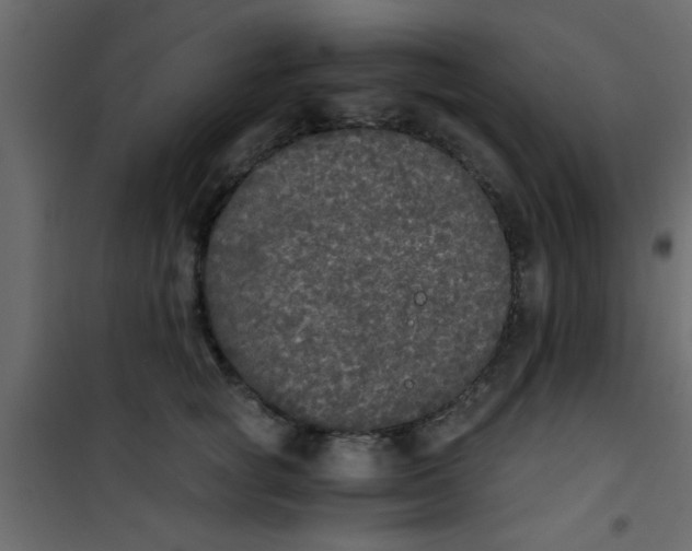 X0000101120757200807172000