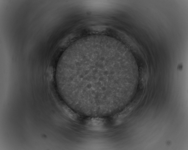 X0000101120758200807172000