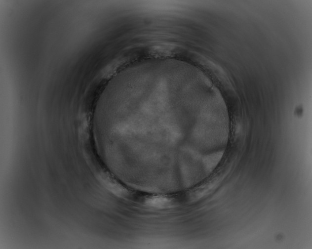 X0000101120759200807172000