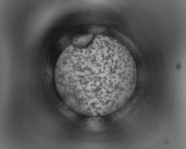 X0000101120761200807172000