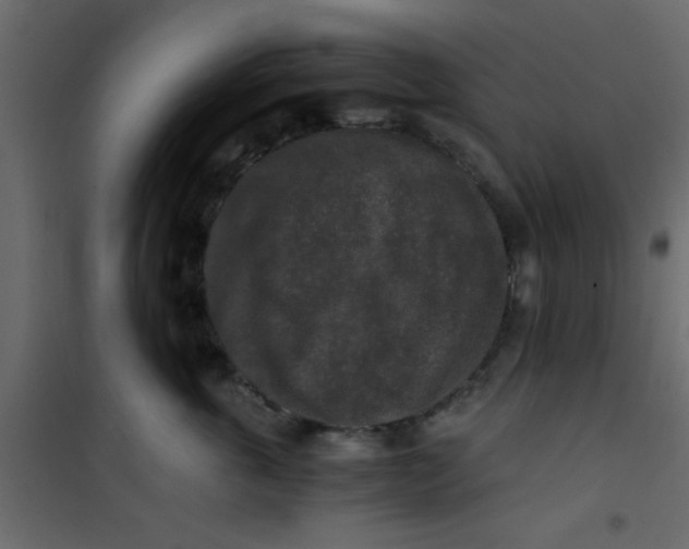 X0000101120763200807172000