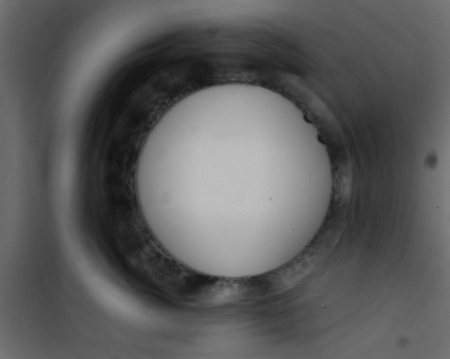 X0000101120764200807172000