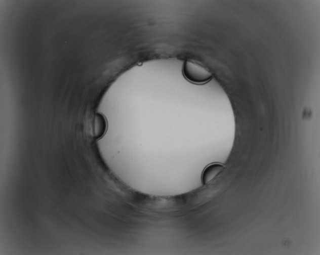X0000101120768200807172000