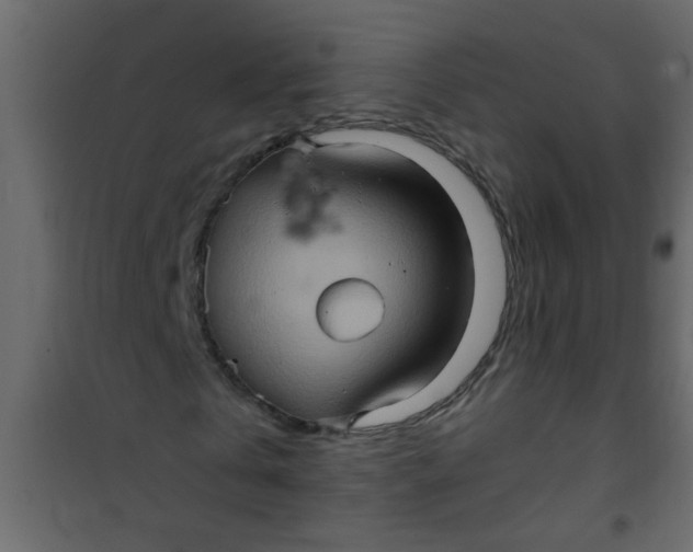 X0000101120769200807171959