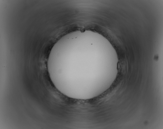X0000101120770200807171959