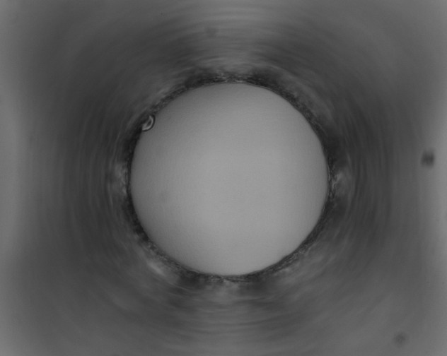 X0000101120772200807171959