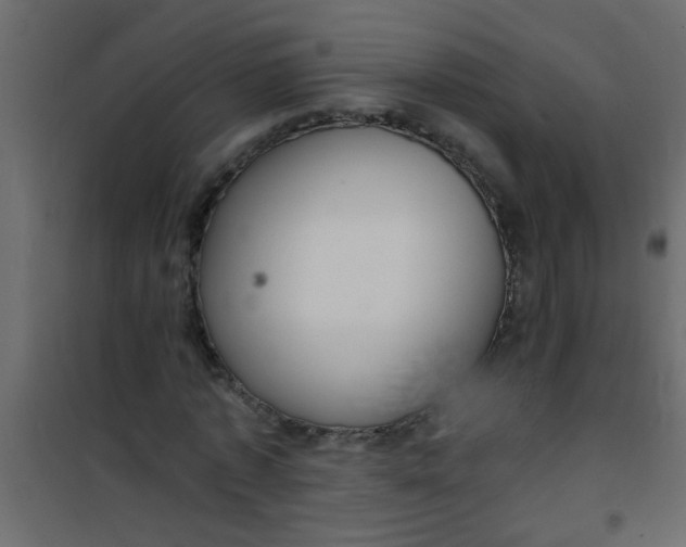 X0000101120773200807171959