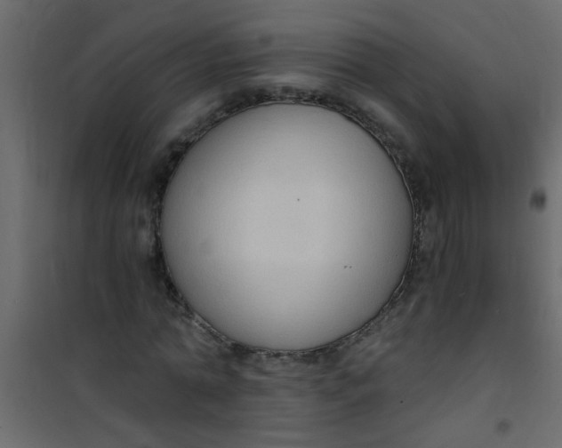 X0000101120774200807171959