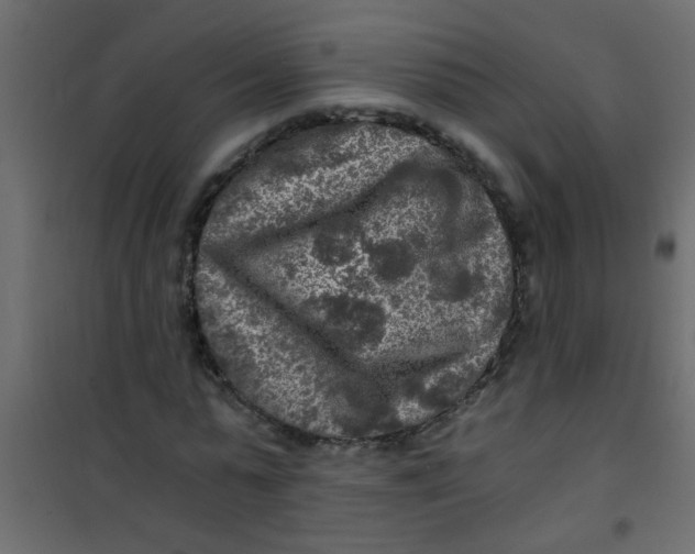 X0000101120775200807171959