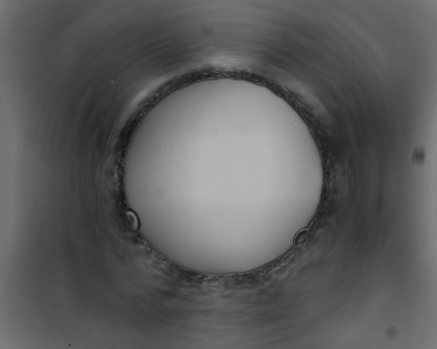 X0000101120776200807171959