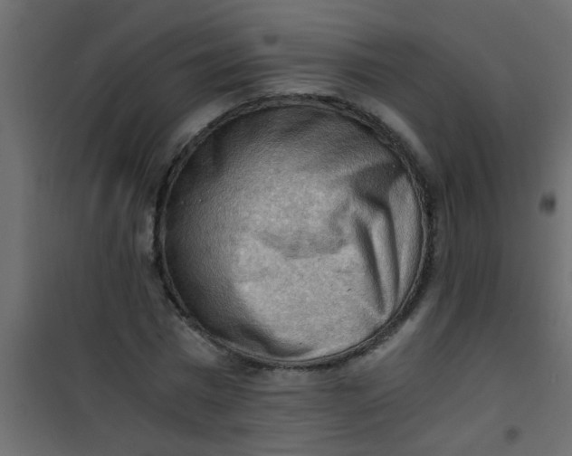 X0000101120777200807171959