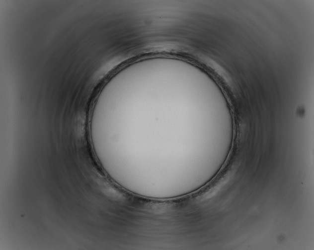 X0000101120778200807171959