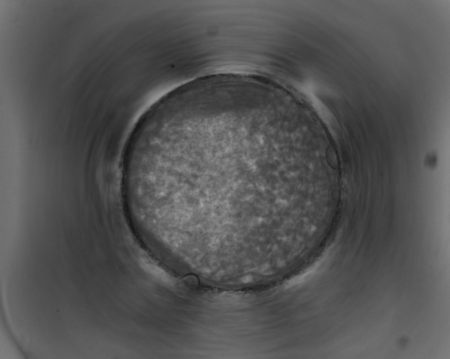 X0000101120779200807171959