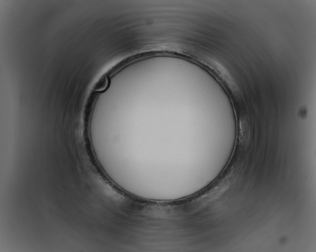 X0000101120780200807171959
