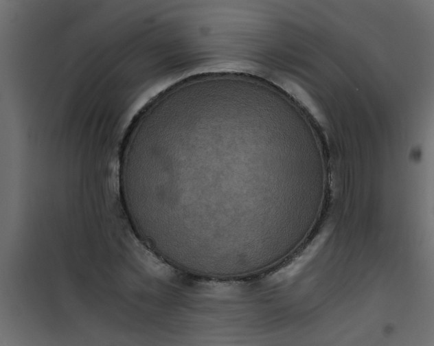 X0000101120781200807171959
