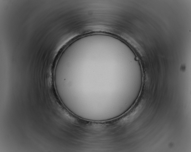 X0000101120782200807171959