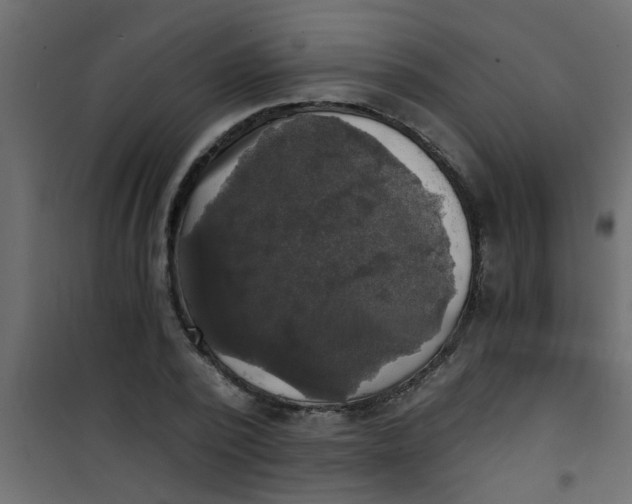 X0000101120784200807171959