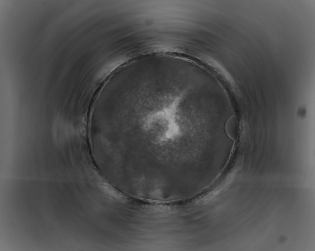 X0000101120785200807171959