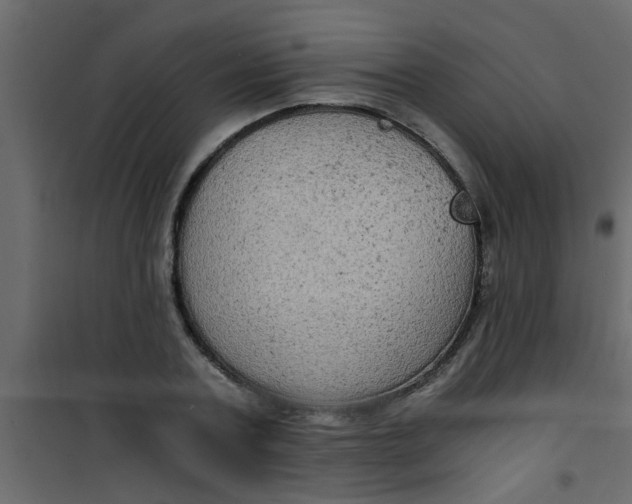 X0000101120787200807171959