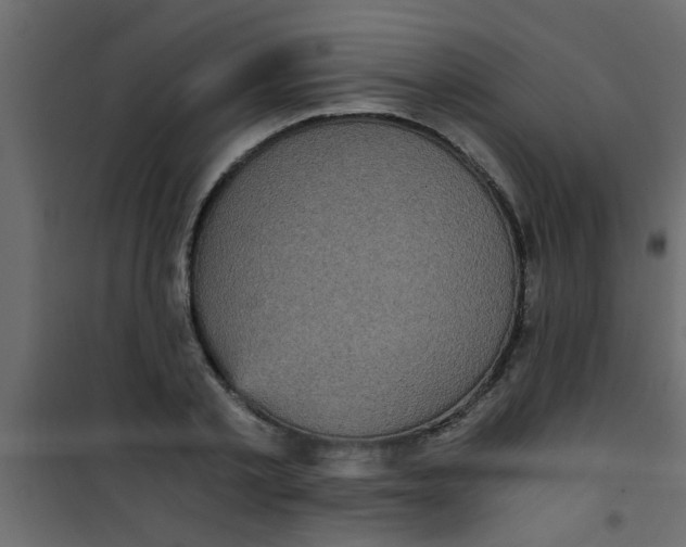 X0000101120789200807171959