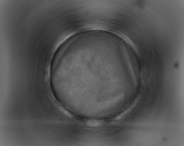 X0000101120790200807171959
