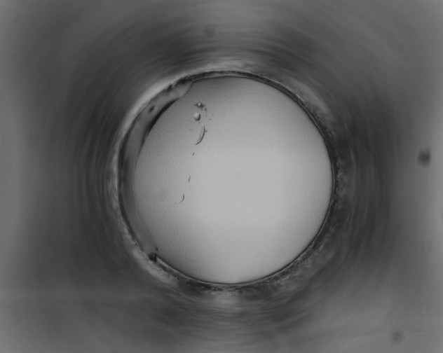 X0000101120792200807171959