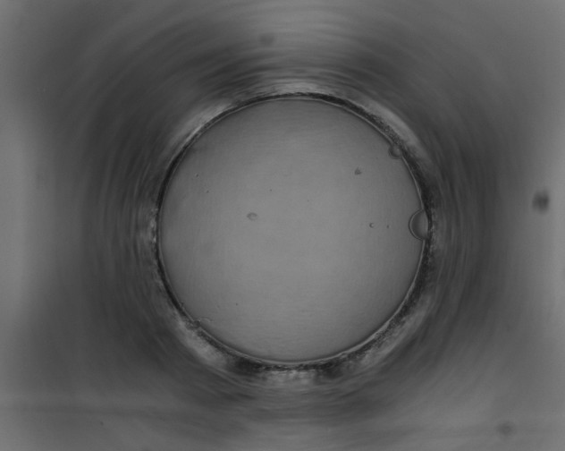 X0000101120793200807171959