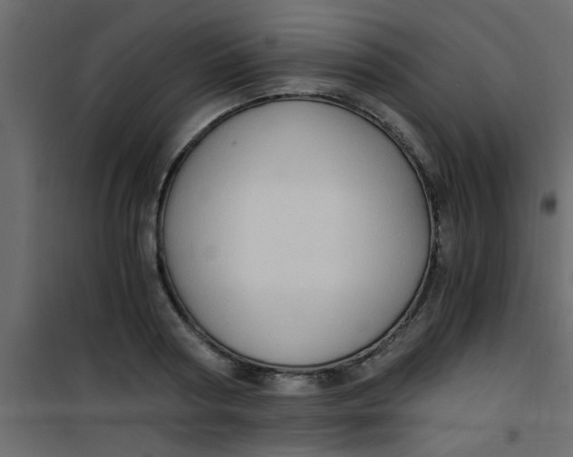 X0000101120794200807171959