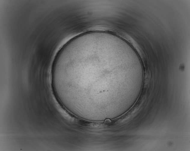 X0000101120795200807171959