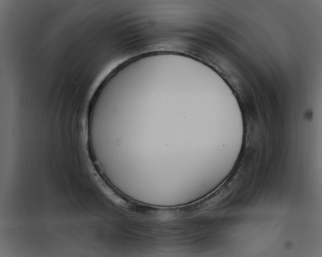 X0000101120796200807171959