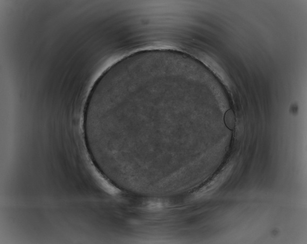 X0000101120797200807171959