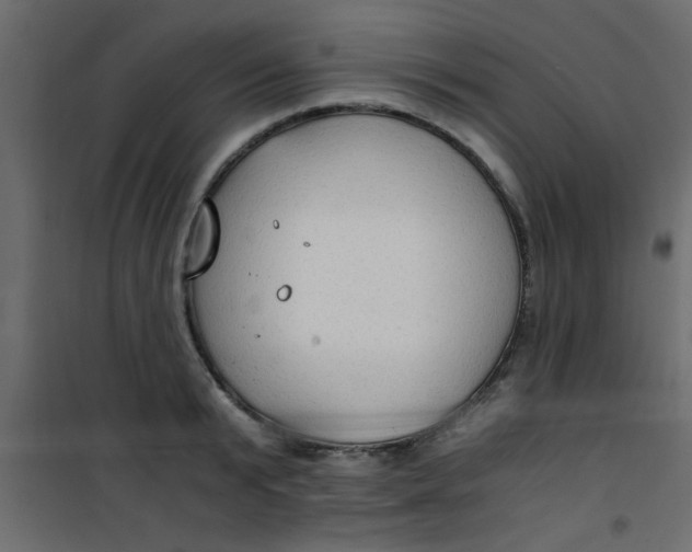 X0000101120799200807171959