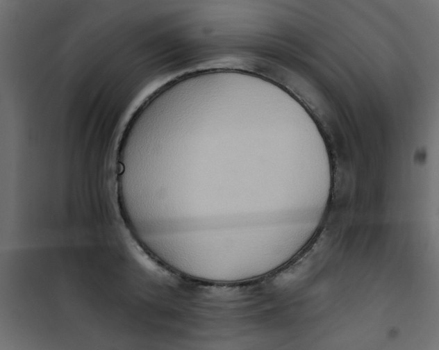 X0000101120800200807171959