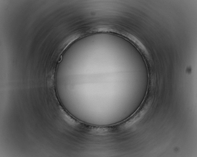 X0000101120801200807171959
