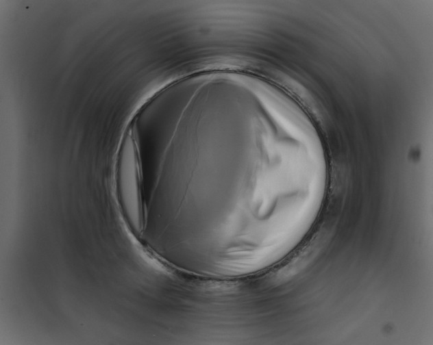 X0000101120802200807171959